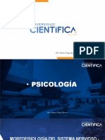 Sesion 2 Organizacion Celular Del SN PDF