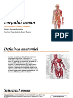 Anatomia Corpului Uman