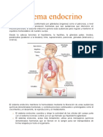 Clase 8 Fisiologia - Sistema Endocrino