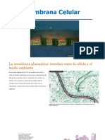 Membrana Celular-Biogral PDF