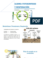 Metabolismo Biogral PDF