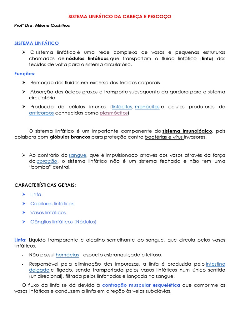 A Anatomia E Função Do Sistema Linfático Da Cabeça E Pescoço Pdf