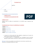 Cavidade Bucal PDF