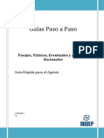 Guia Paso A Paso Viativos Nacionales Resumida V4