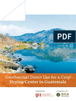Executive Summary Geothermal Direct Use For A Crop Drying Center in Guatemala PDF