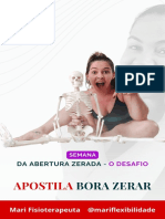 Apostila Bora Zerar Mari Flexibilidade