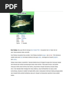 Download Ikan Siakap by watashi_desu_9 SN64257519 doc pdf