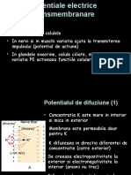 Curs 4 - PM Si PA