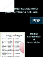 Curs 3 - Transport Transmb