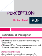 Understanding Perception: Factors That Shape How We See the World