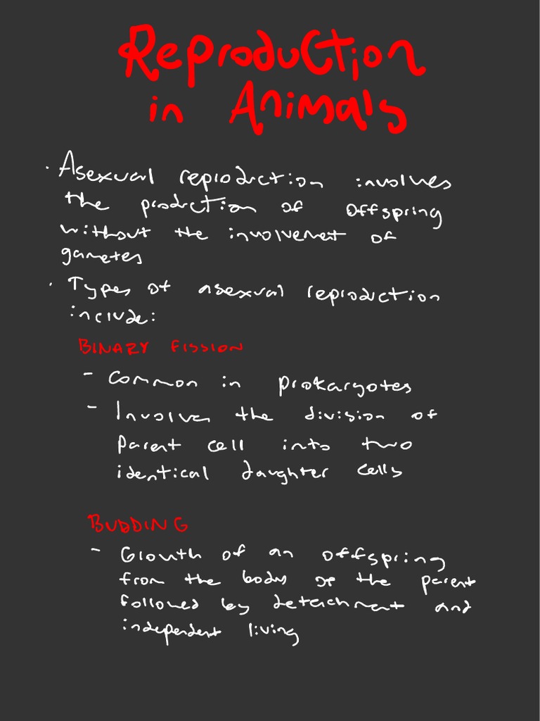 Reproduction_ Animals.pdf | PDF