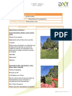 Sesión de Atletismo 14 (25-3-2021) PDF