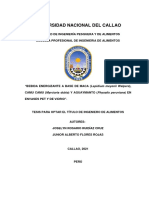 Tesis Pregrado Ruidiaz Flores Fipa 2021 PDF