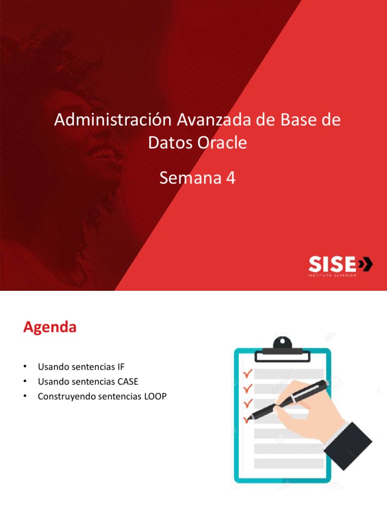 Clase 4 PLSQL IF CASE LOOP PDF PDF