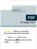 Muscle 1
