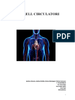 L'aparell Circulatori Document PDF