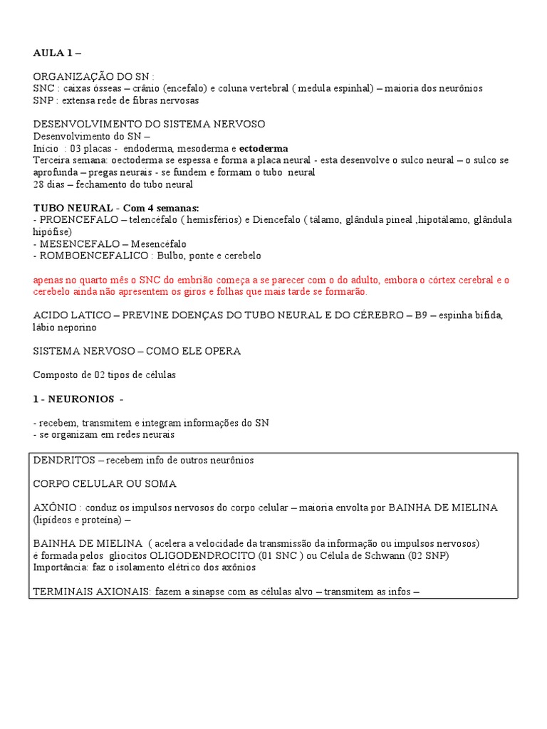 Mapa Mental Sistema Nervoso - SNC e SNP | PDF | Nervo | Cérebro