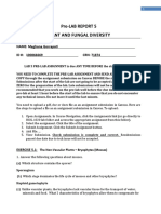 Plant and Fungal Diversity Lab Report