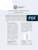 Crom 1 PDF