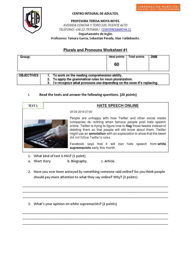 1NMs Plurals and Pronouns Worksheet #1 PDF | PDF