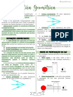 Óptica Geométrica