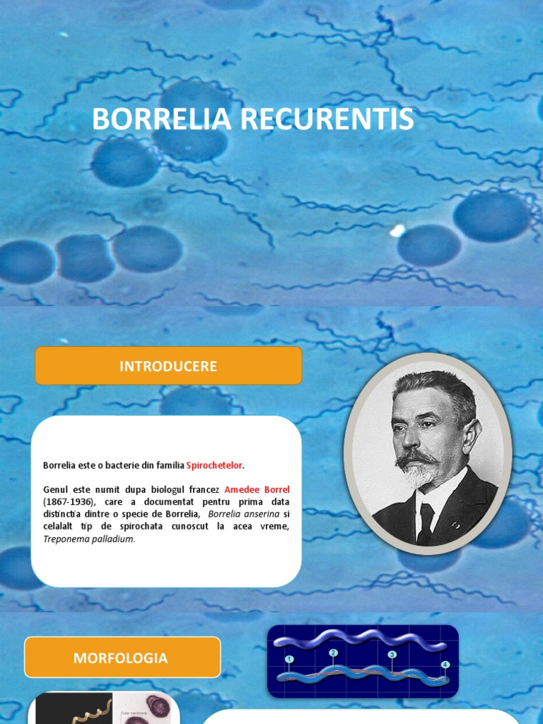 Borrelia Recurrentis Microbiologie PDF
