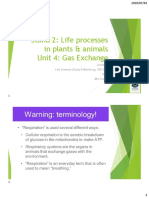 Gr11 Gas Exchange CC PDF