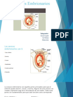 Anexos Embrionarios 2A