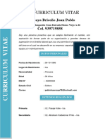 CV PDF