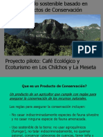 Cafe Ecologico Ecoturismo Los Chilchos La Meseta 2007 Keyword Principal