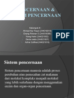 Enzim Pencernaan & Sistem Pencernaan Manusia