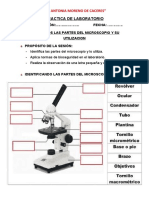 Practica de Laboratorio