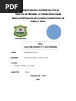 Fluidos Sedimentologia