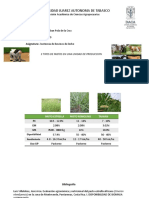 3 Pastos en Una Unidad de Produccion PDF