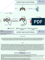 Aplicación de Bases Moelculares PDF