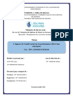 L'impact de L'audit Social Sur La Performance RH D'une Entreprise PDF