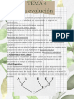 TEMA 4 La Evolución PDF