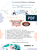 Hepatitis B PDF