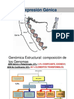 Codigo Genetico Dra. Laura PDF