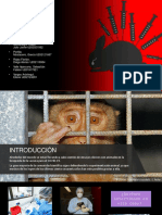 TP-Testeo Animal PDF