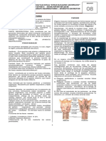 Práctica N°08 Biología - Con Claves PDF