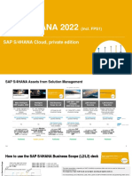 20230222 S4H 2022 FPS1 Business Scope PDF.pdf