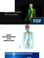 Nervous System Lesson 1