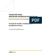 AnaCatarinaRamos PDF