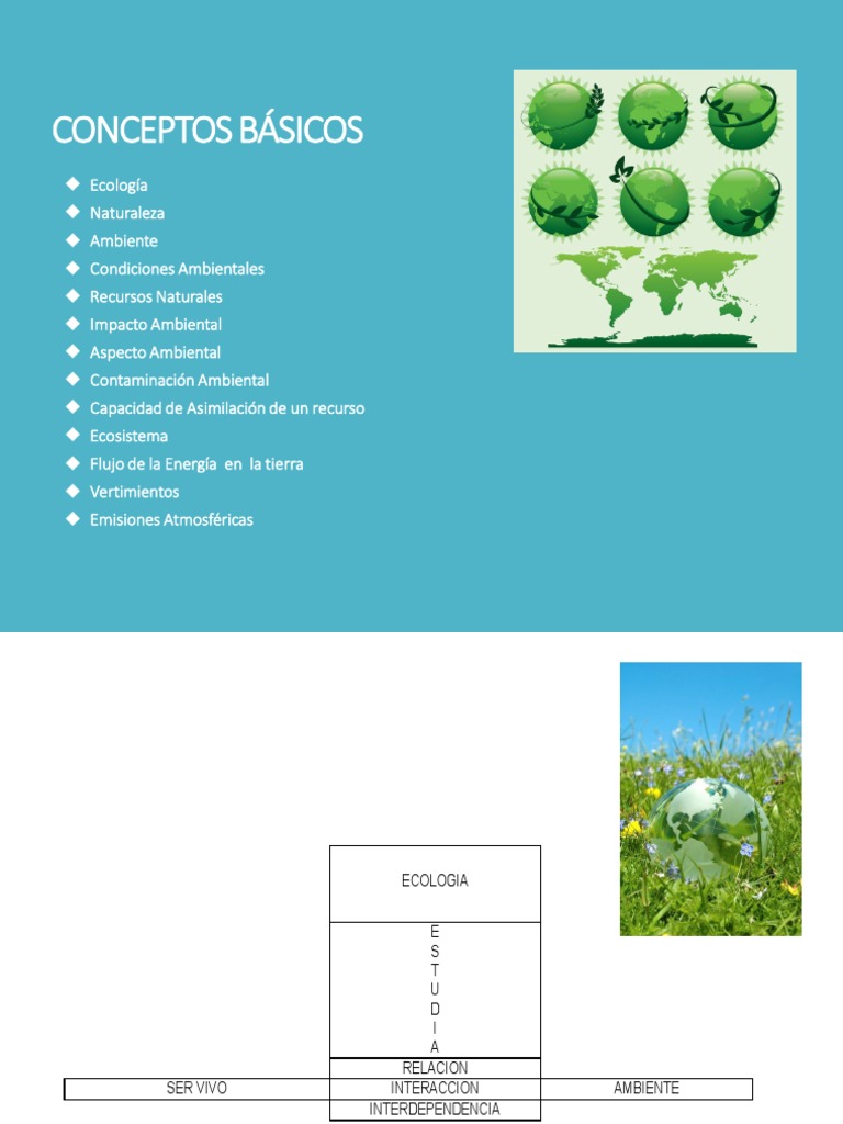 Conceptos Clave del Medio Ambiente | PDF | Entorno natural | Contaminación