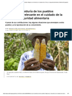 Por Qué La Sabiduría de Los Pueblos Indíindigenas Es Relevante en El Cuidado de La Tierra y La Seguridad Alimentaria - National Geographic PDF