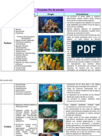 Principales Filos de Animales PDF