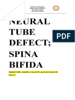 Spina Bifida Reporting