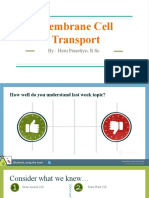 Cell Transport PDF