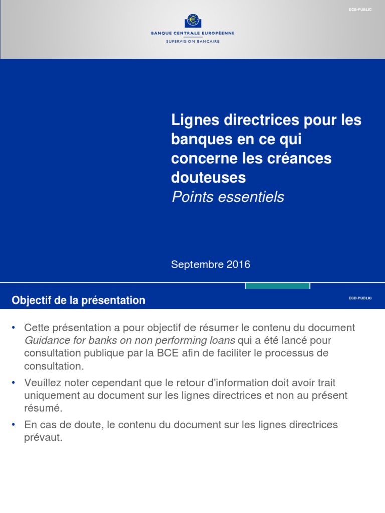 NPL PDF | PDF | Banques | Comptabilité